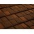 Copper Brown ROY